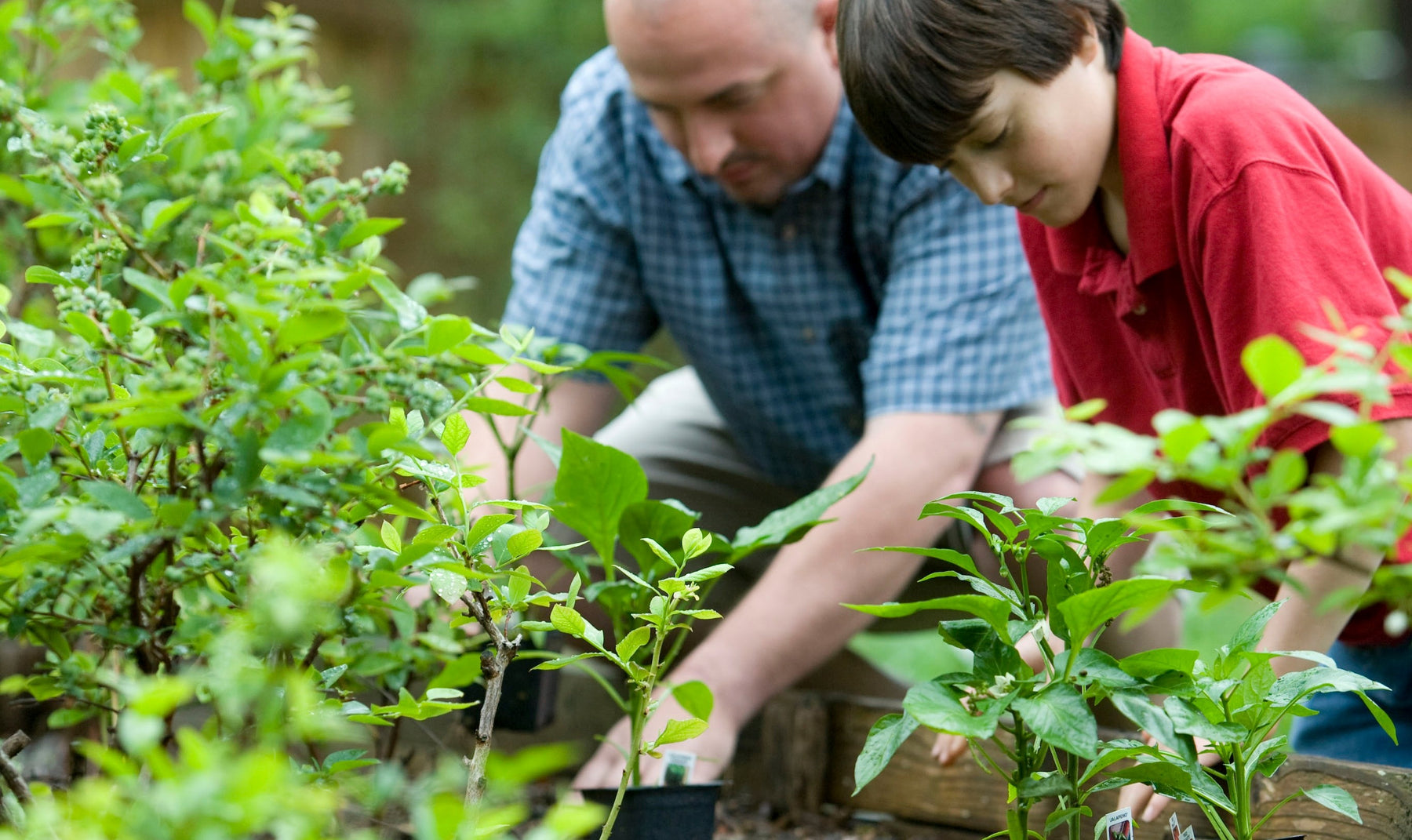 Stay Indoors This Earth Day!