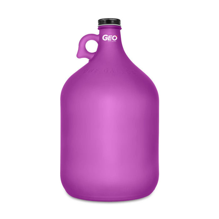 Geo 1 Gallon Frosted Glass Bottles (4-Pack)