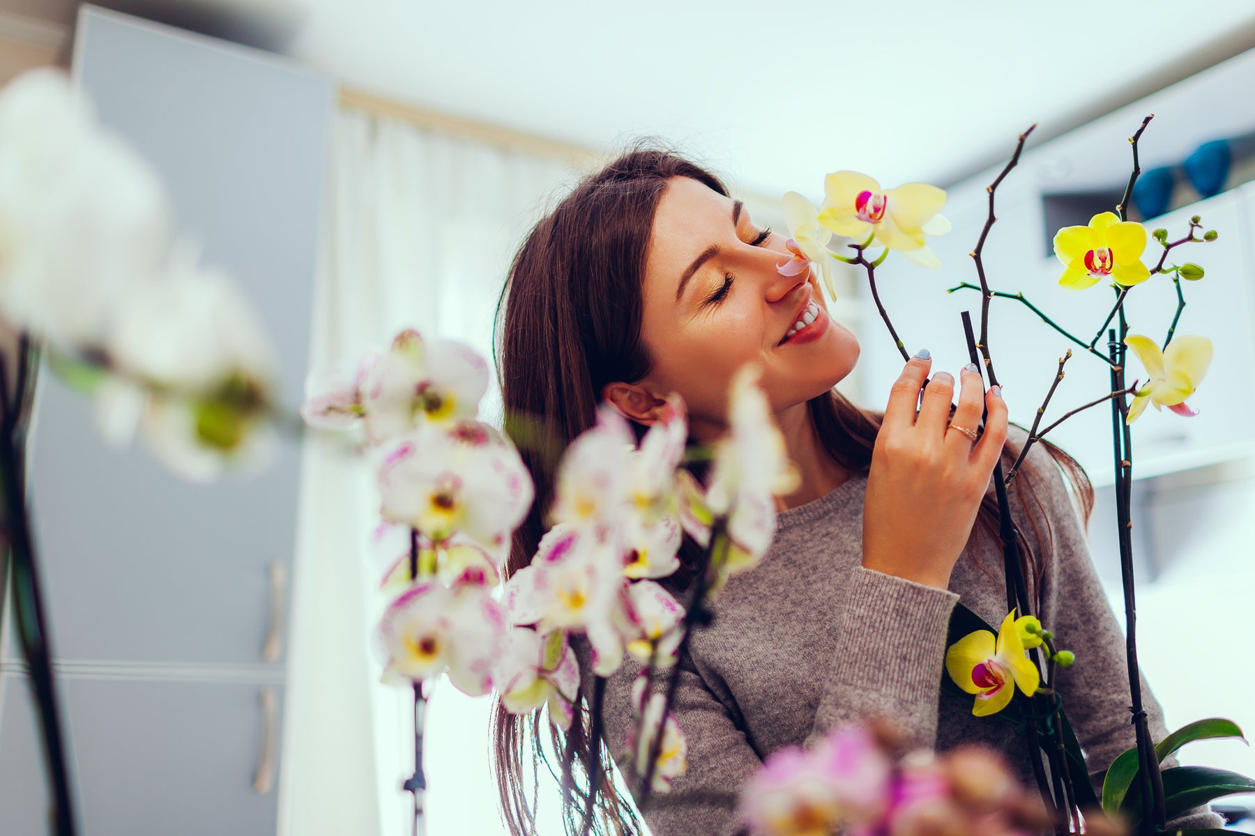 4 Unexpected Ways My Tri-Temp Water Dispenser Improved My Life at Home